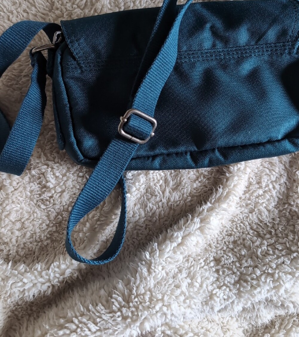 Carhartt Dark Teal Crossbody Horizontal Bag - Picture 8 of 10